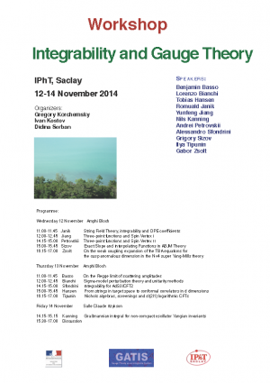 Workshop: Integrability and Gauge Theory