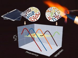 L’existence d’un ordre dans les verres enfin démontrée