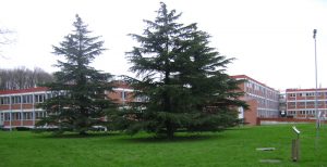 Rencontre Lyon-Saclay 16-17 décembre 2019