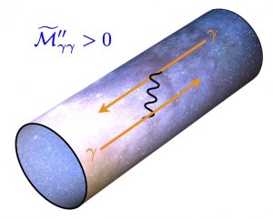 Les trous noirs et la conjecture de gravité faible