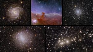 The first images taken by Euclid revealed