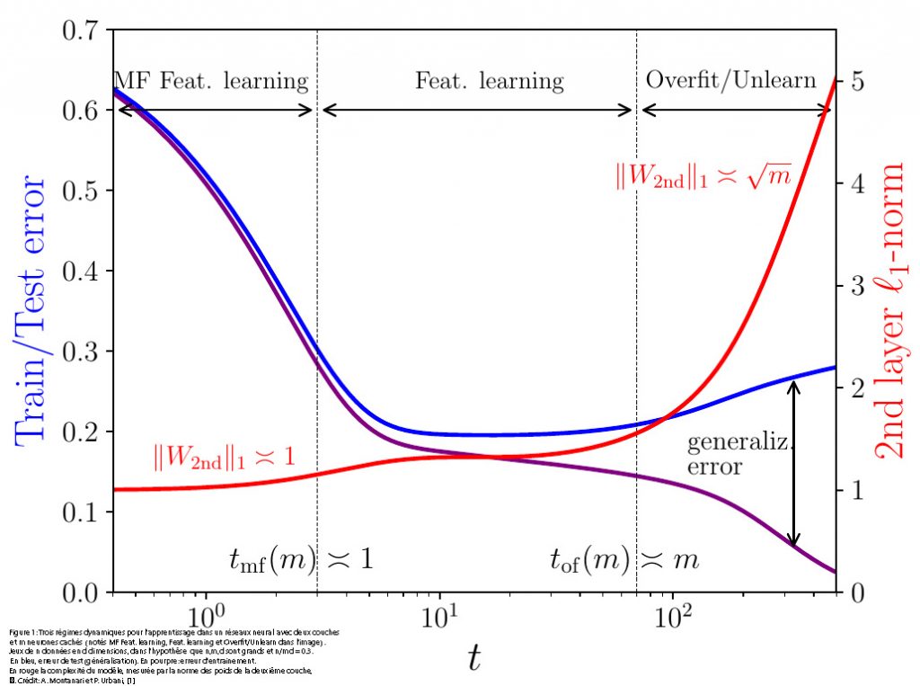 Un scénario pour l’apprentissage automatique dans les réseaux neuronaux surparamétrés